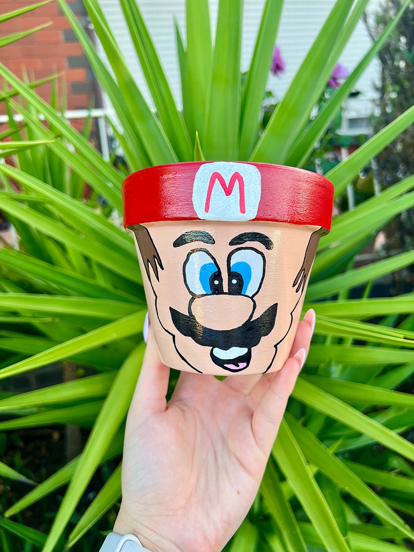 Mario Painted Pot