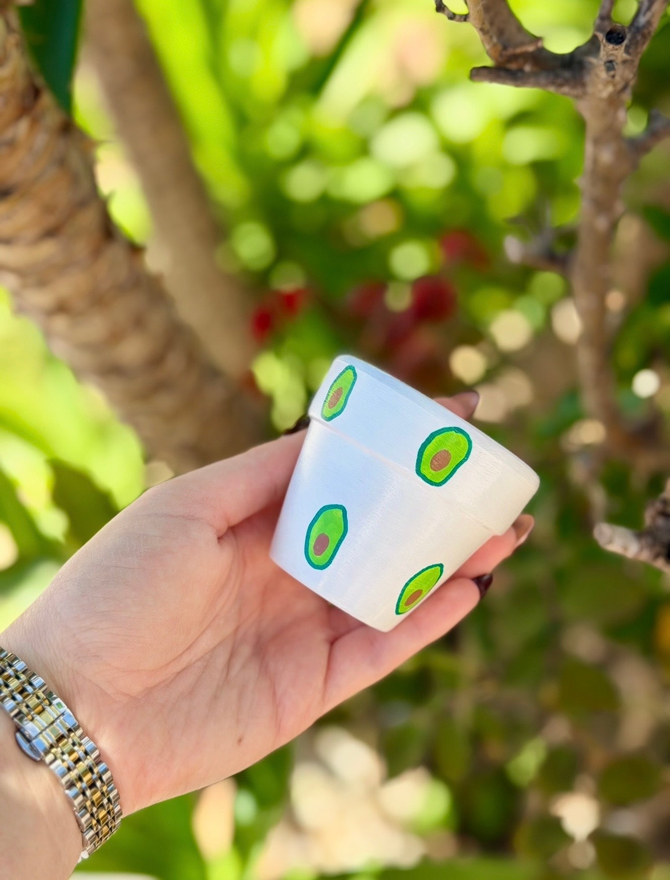 Avo Pot
