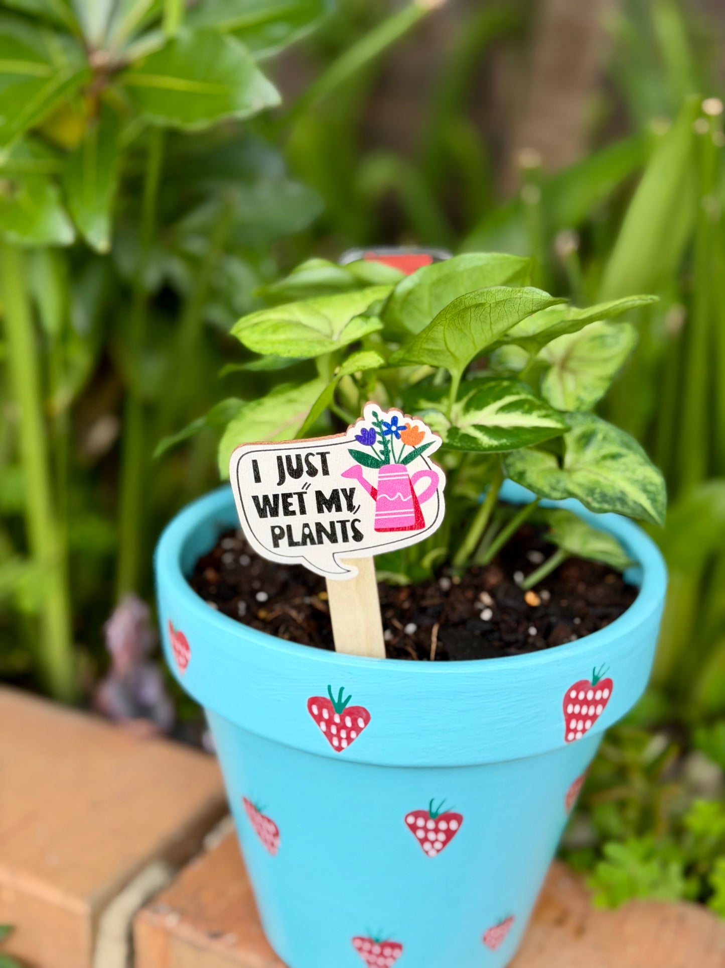 Wooden Plant Labels