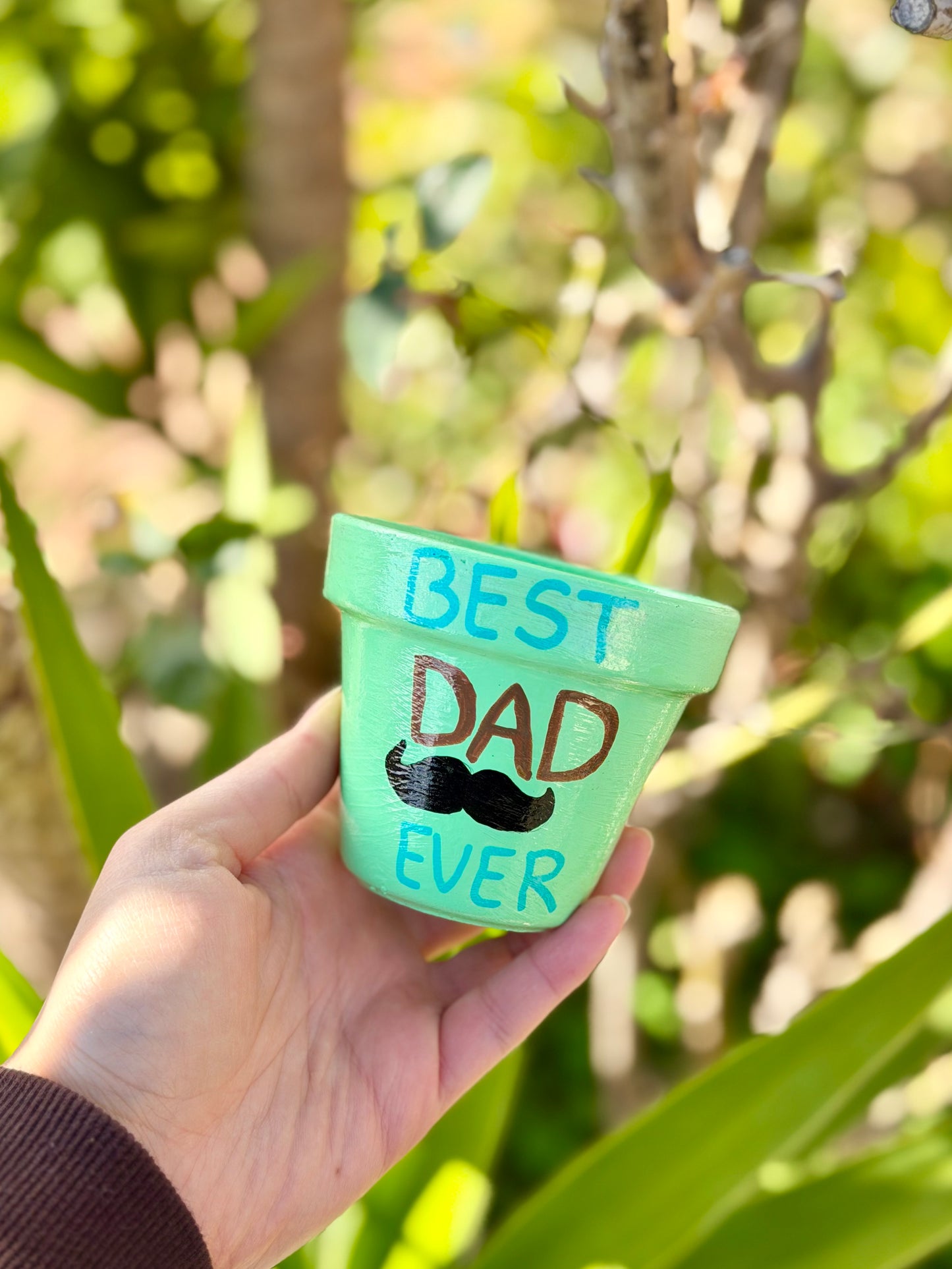 Best Dad Ever Pot