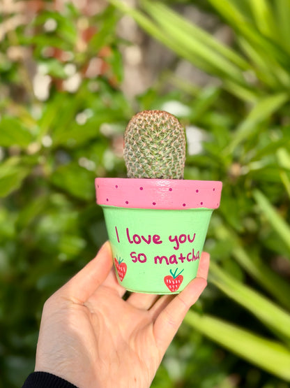 Love You So Matcha Pot
