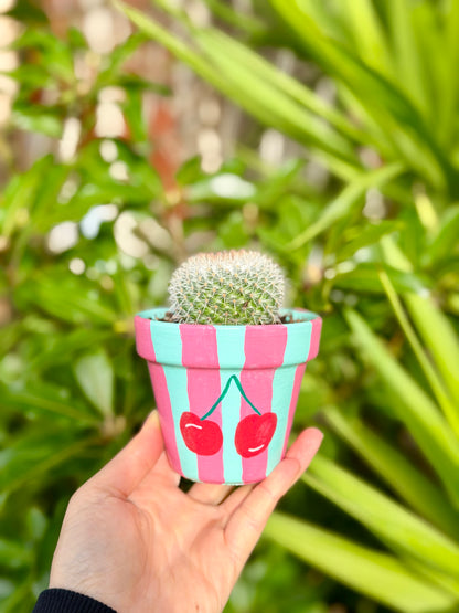 Cherry Bomb Pot
