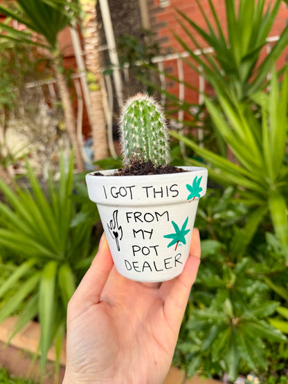 Local Pot Dealer Pot