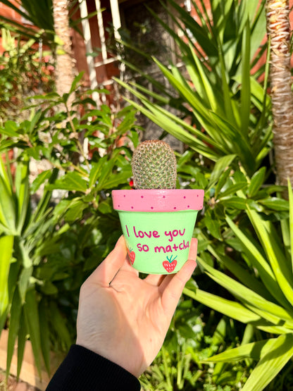 Love You So Matcha Pot