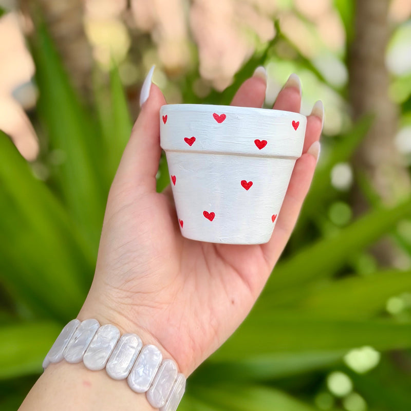 PAINTED POTS