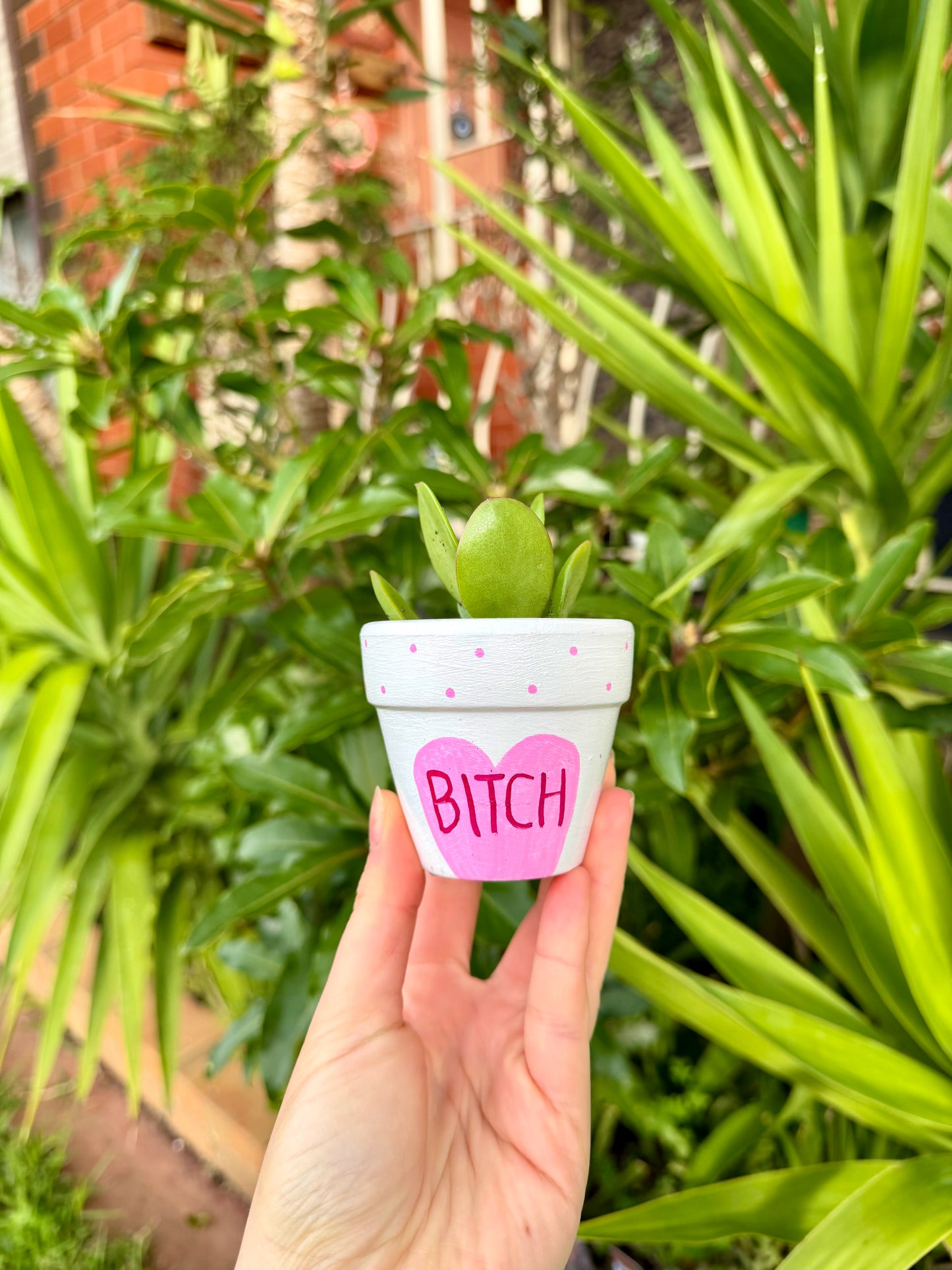 Certified Bitch Pot