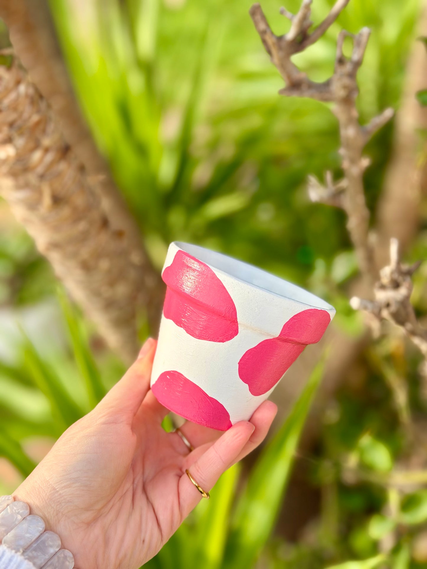 Pink Moo-d Pot