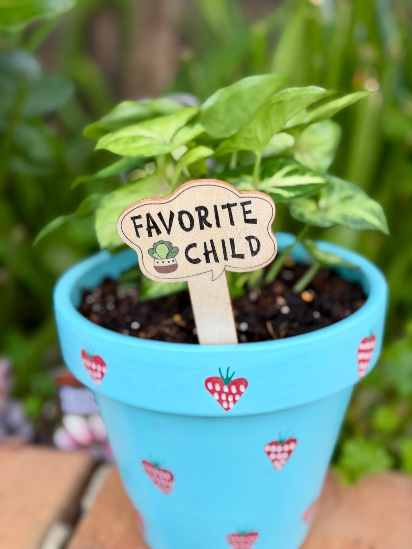 Wooden Plant Labels