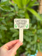 Wooden Plant Labels