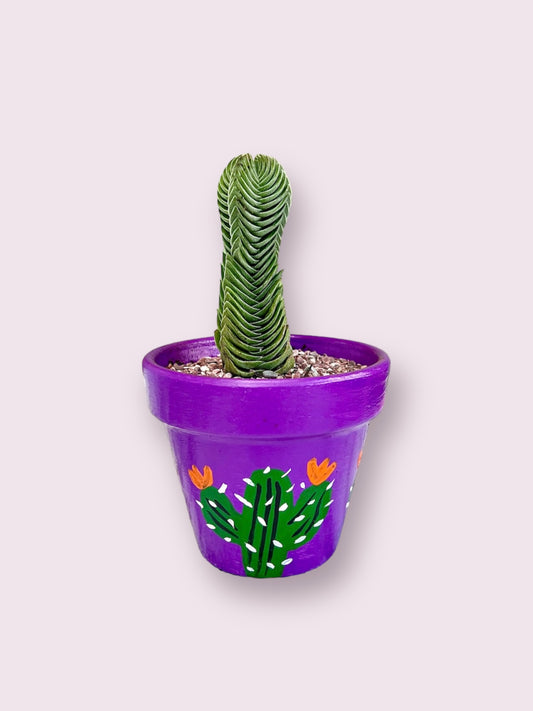 Purple Cactus Pot