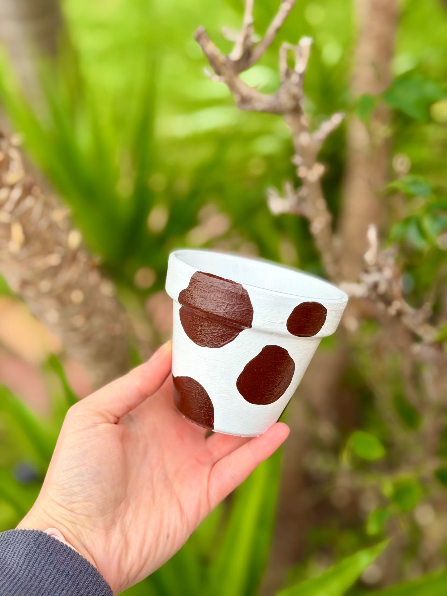 Moo-dy Pot