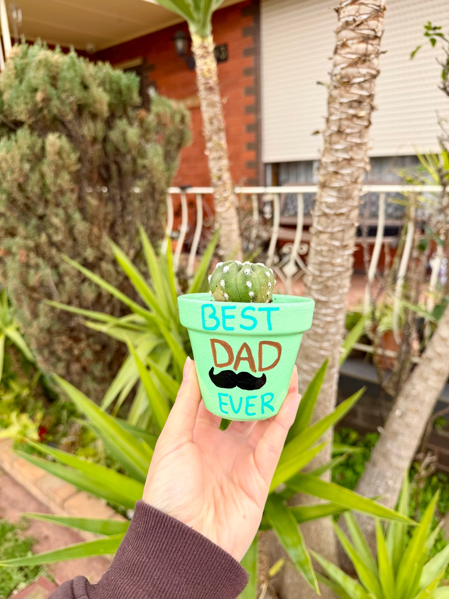 Best Dad Ever Pot