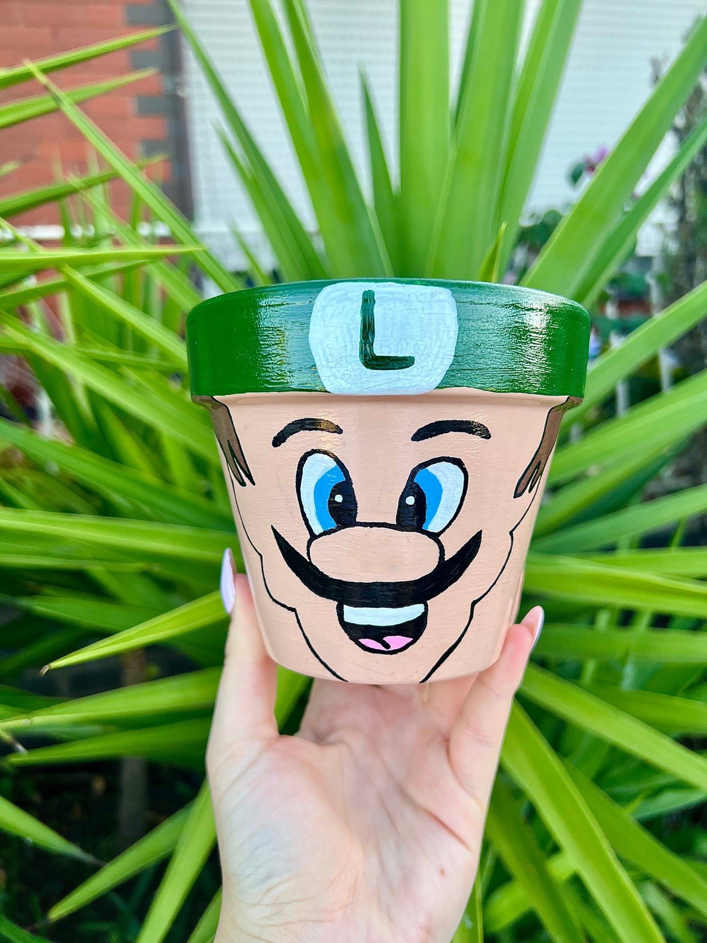 Luigi Painted Pot