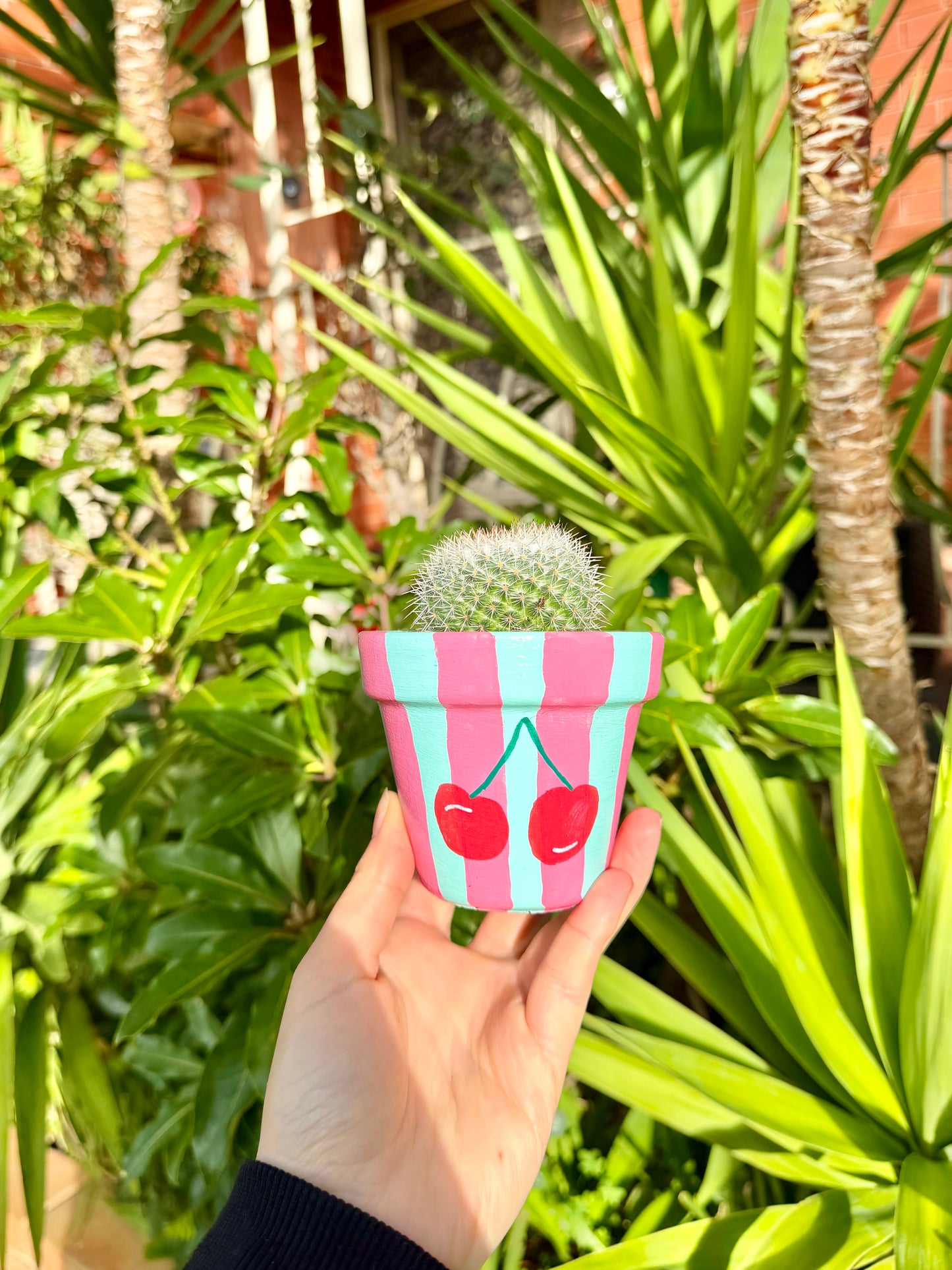 Cherry Bomb Pot
