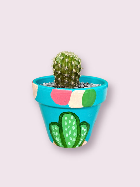 Colourful Cactus Pot
