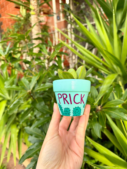 You’re a Prick Pot