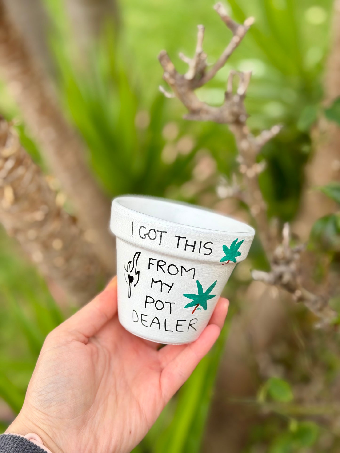 Local Pot Dealer Pot
