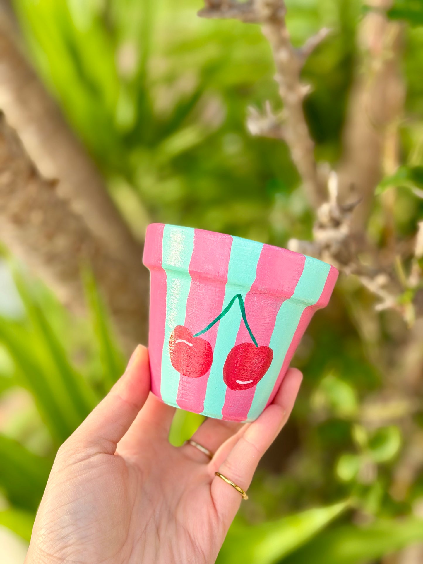 Cherry Bomb Pot