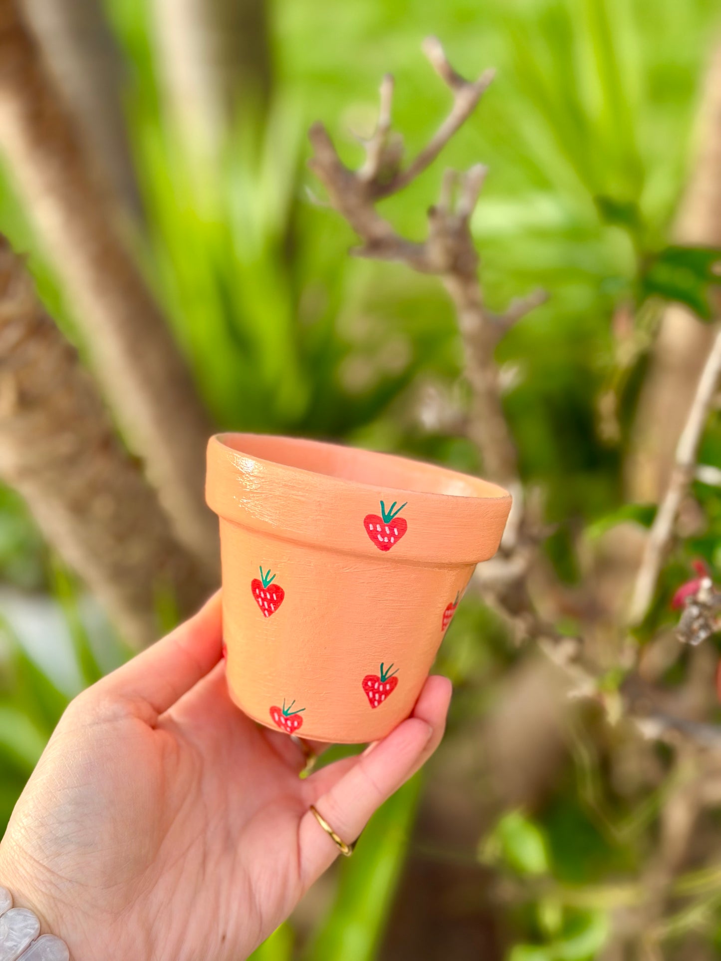 Peach Berry Pot