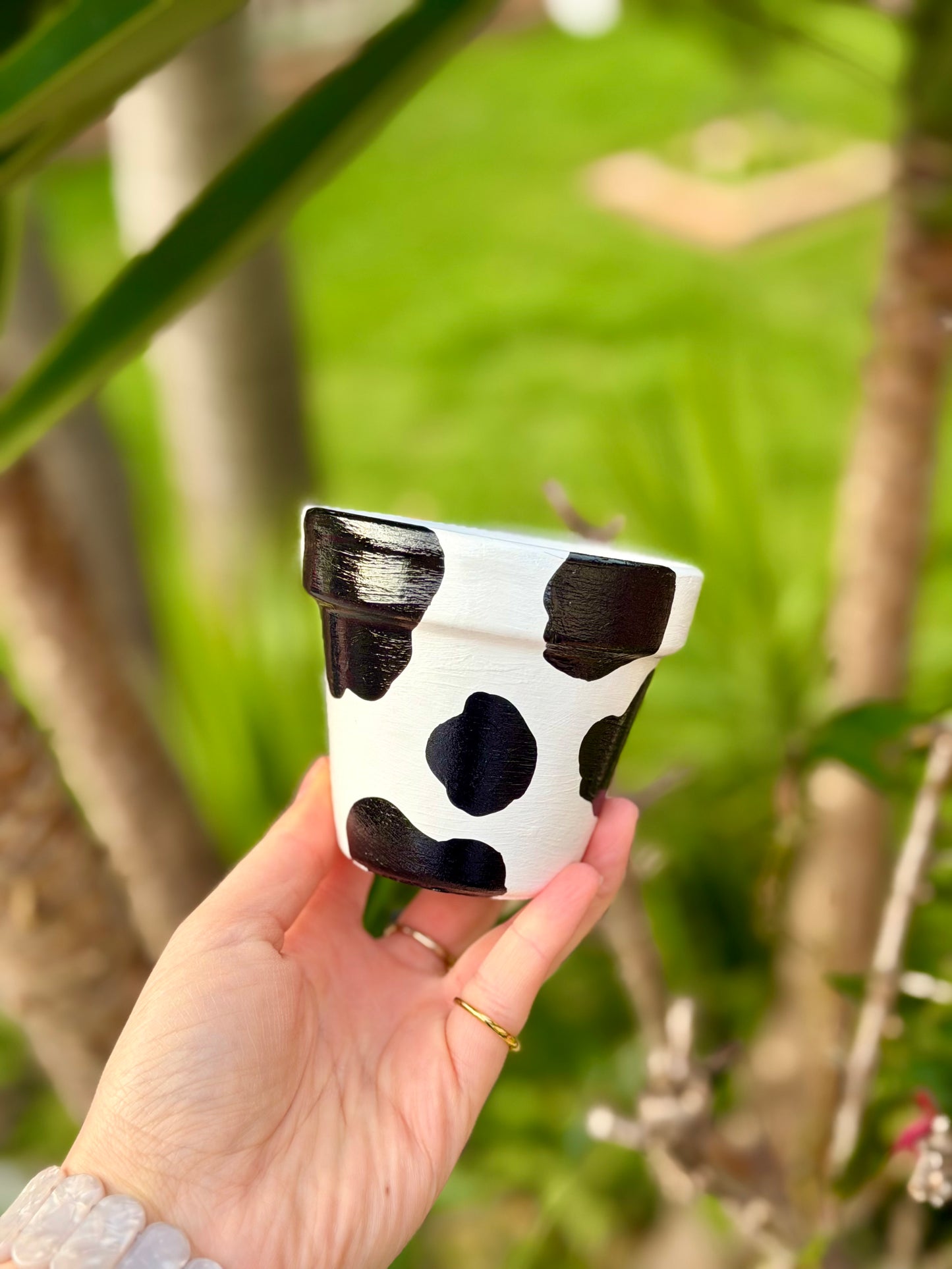 Midnight Moo Pot