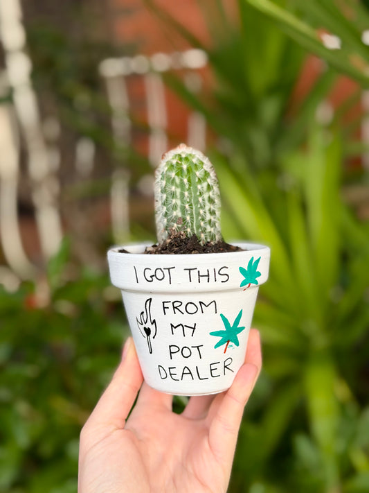 Local Pot Dealer Pot