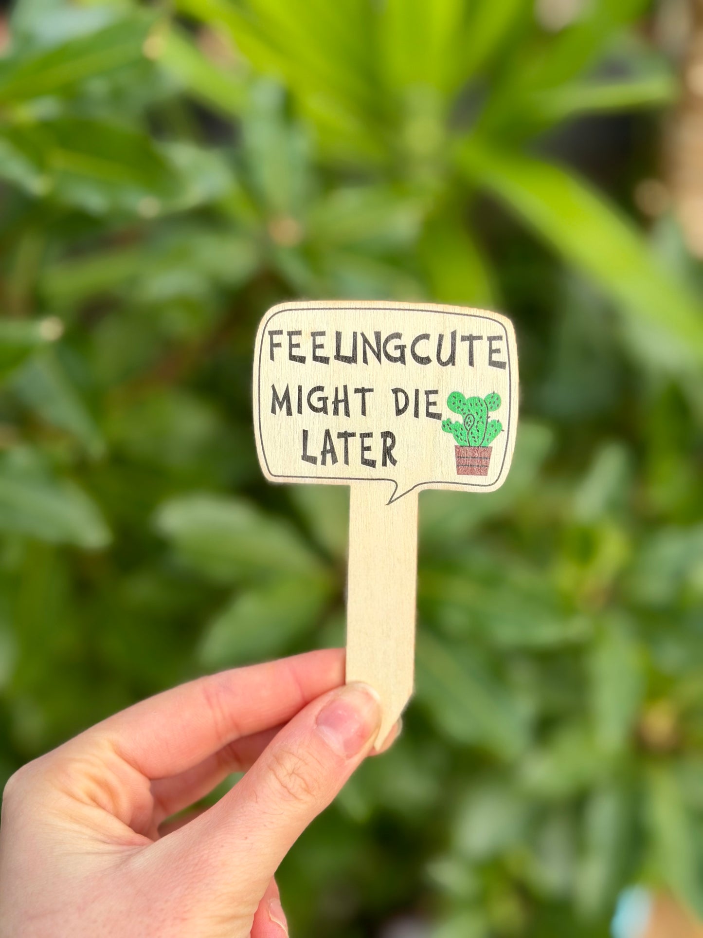 Wooden Plant Labels