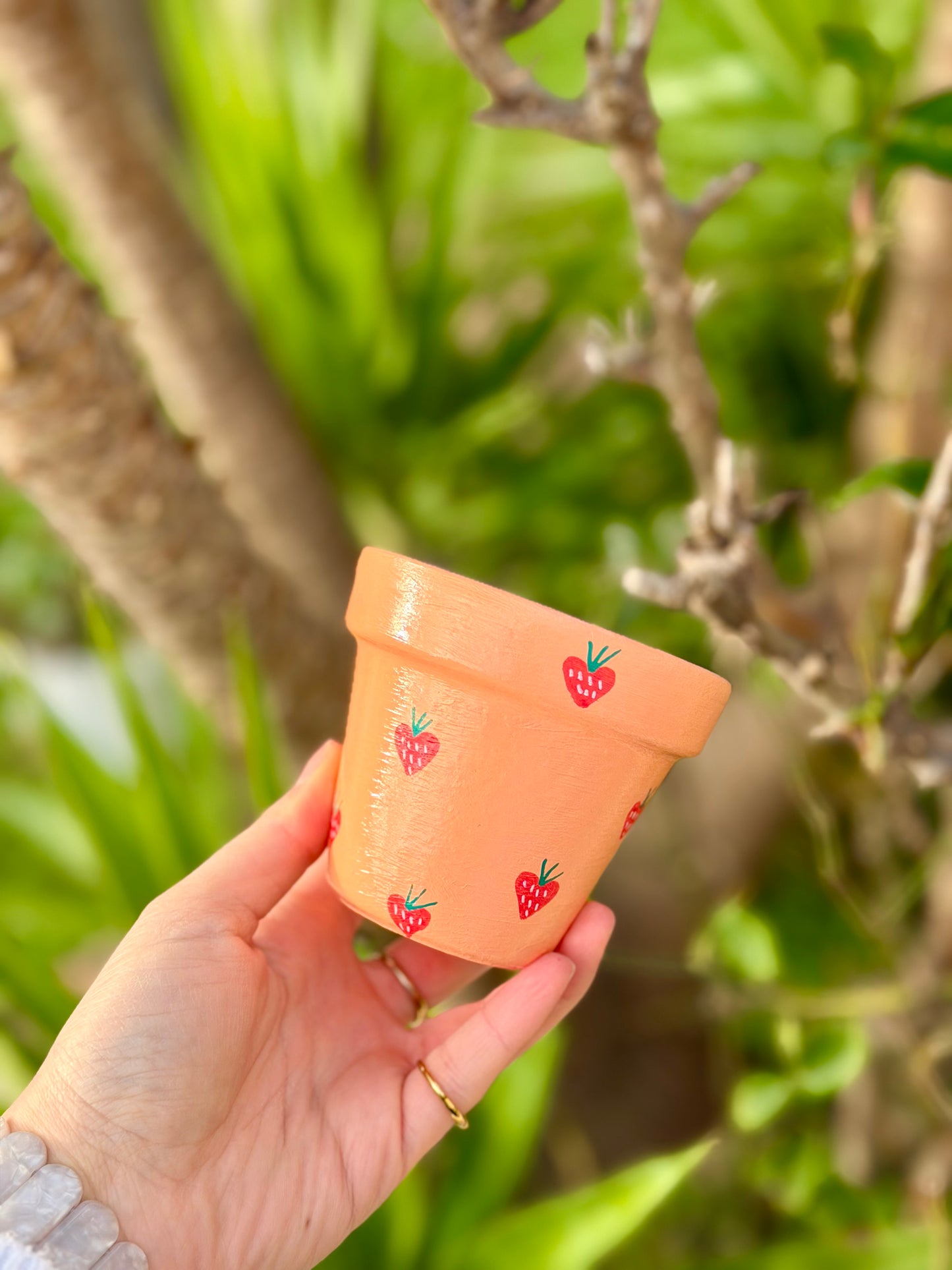Peach Berry Pot