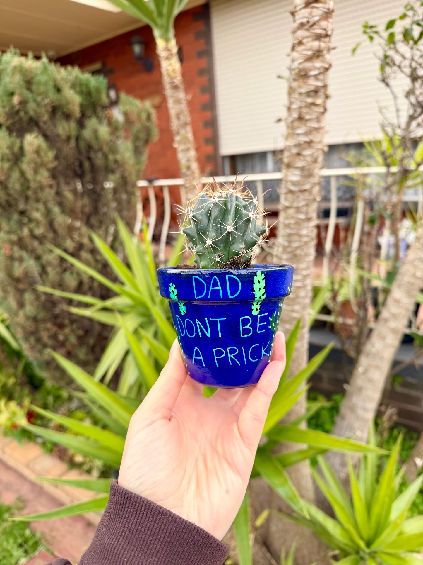 Dad Prick Pot