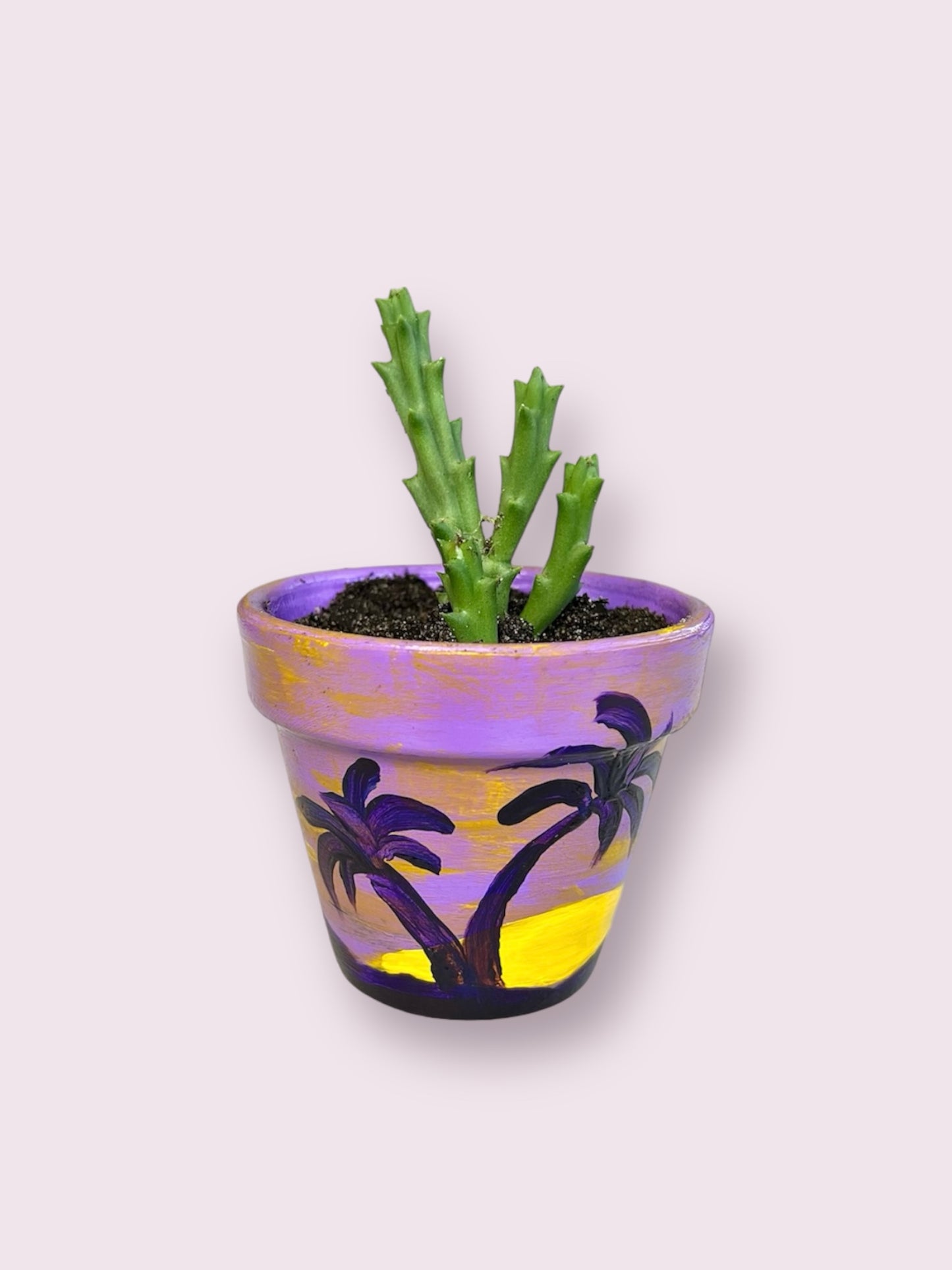 Purple Sunset Pot