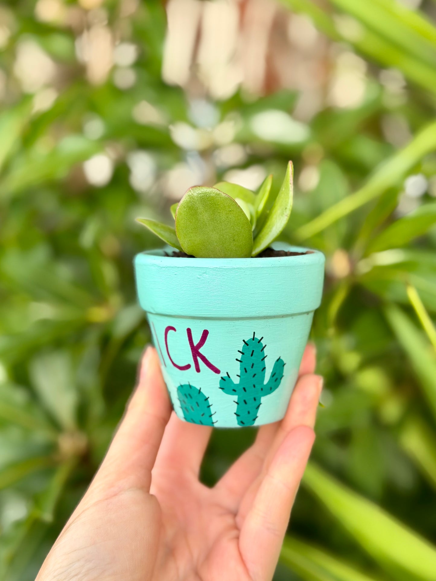 You’re a Prick Pot