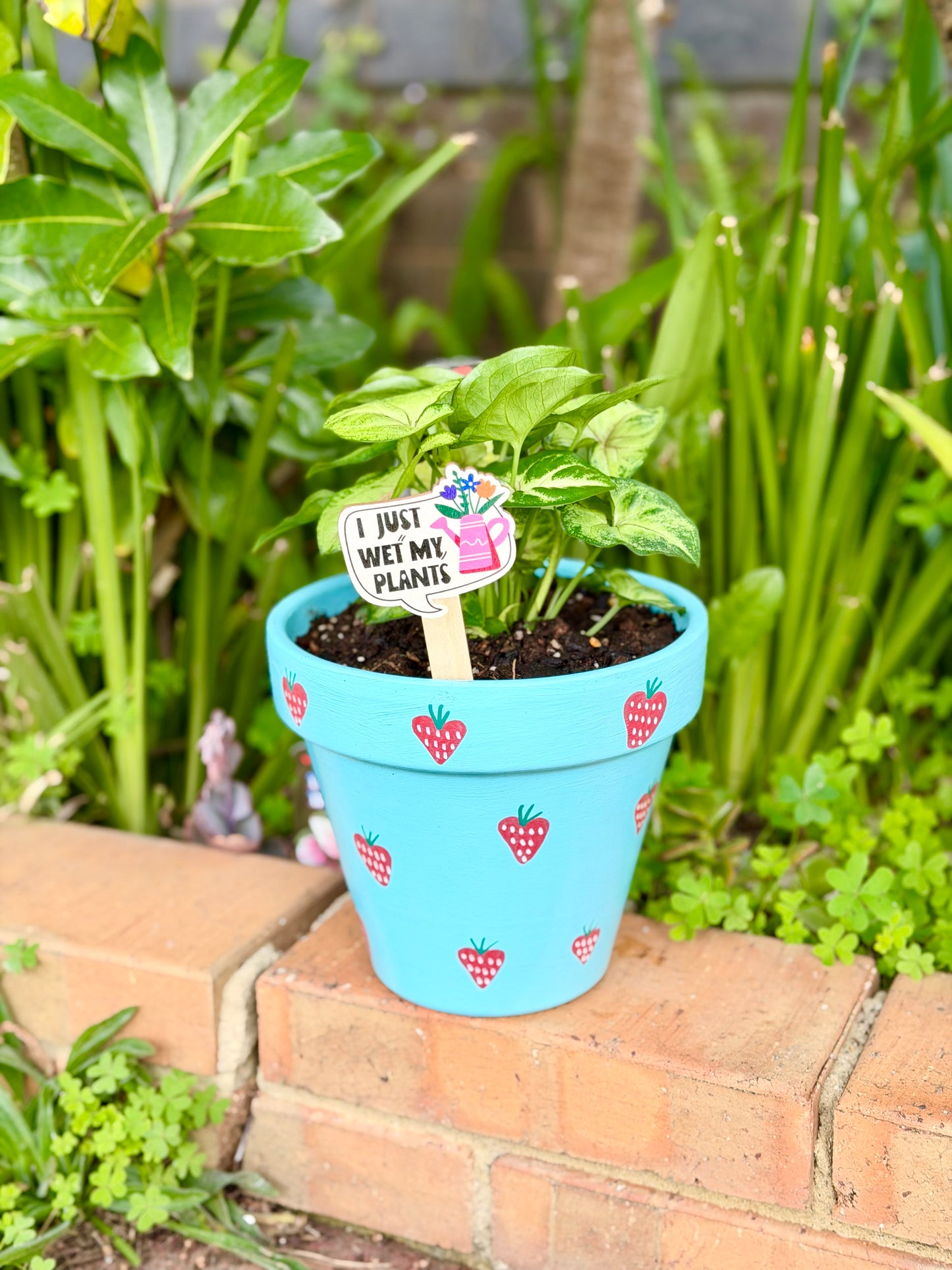The Berry Best Pot