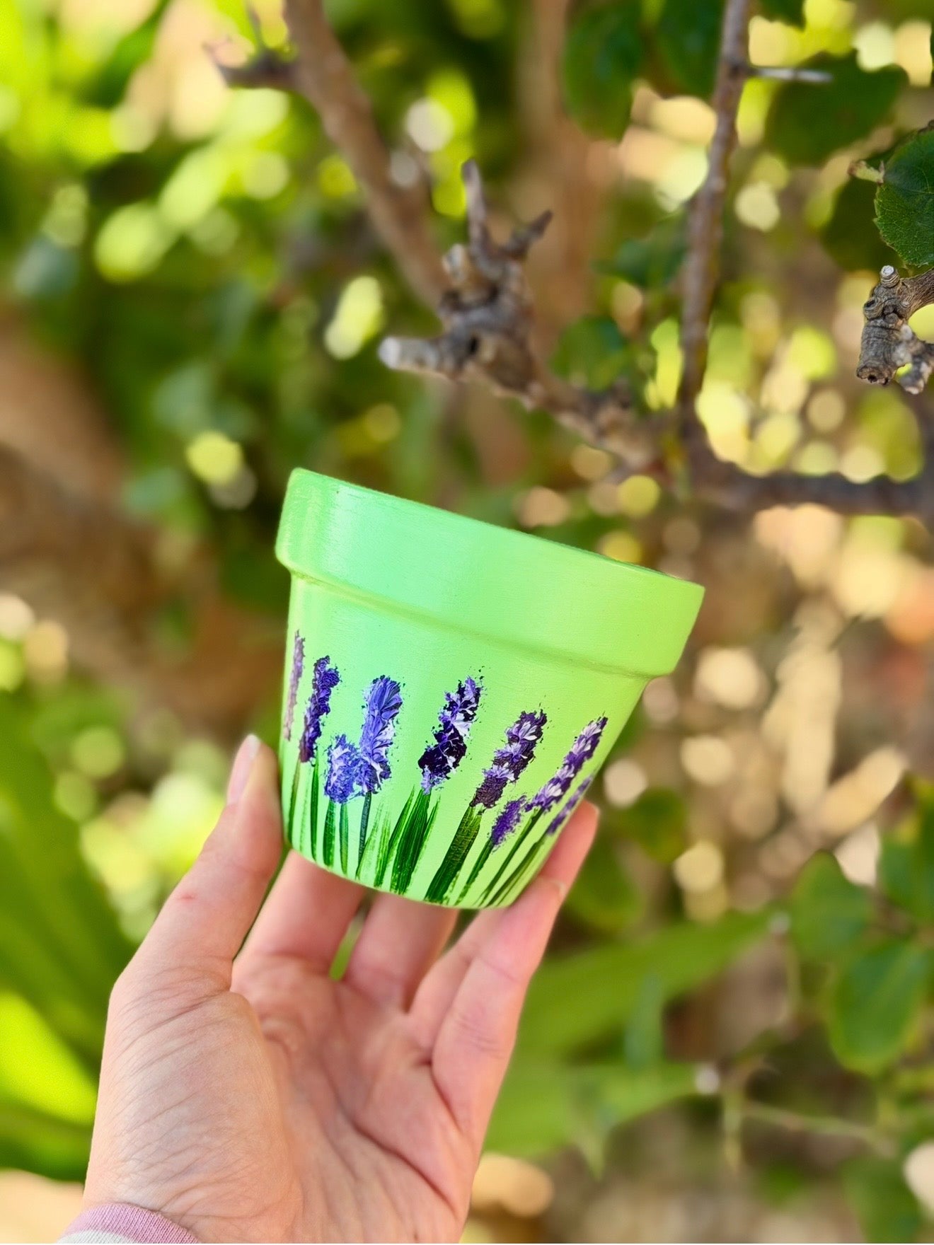 Lavender Fields Pot
