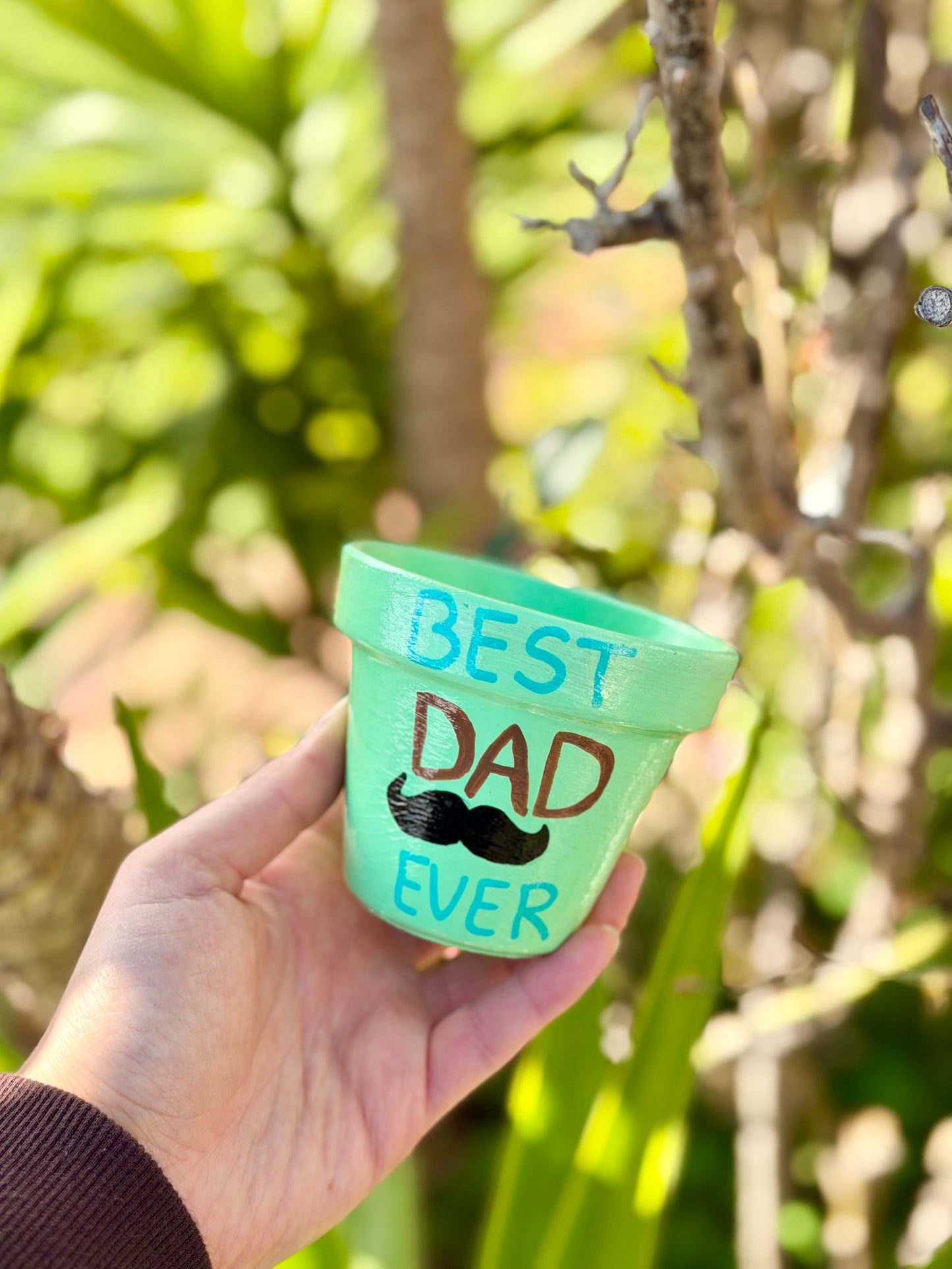 Best Dad Ever Pot