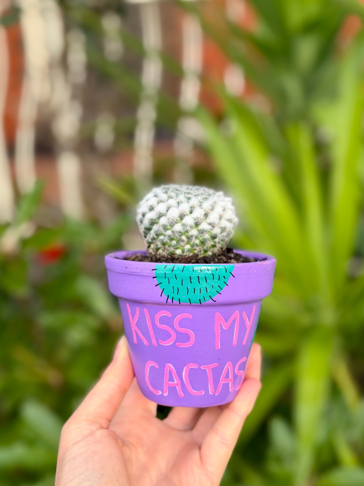 Kiss My Cactass Pot