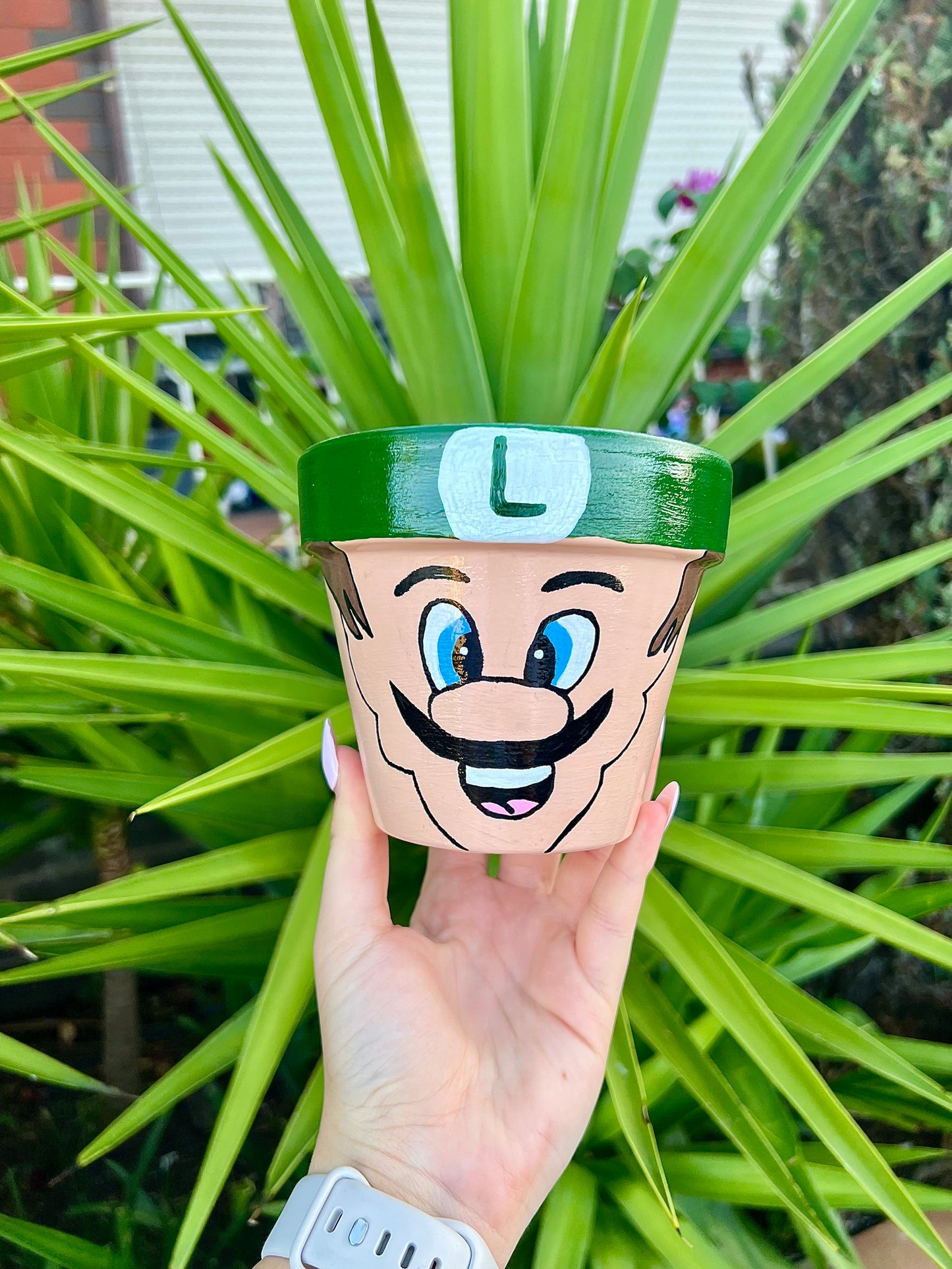 Luigi Painted Pot