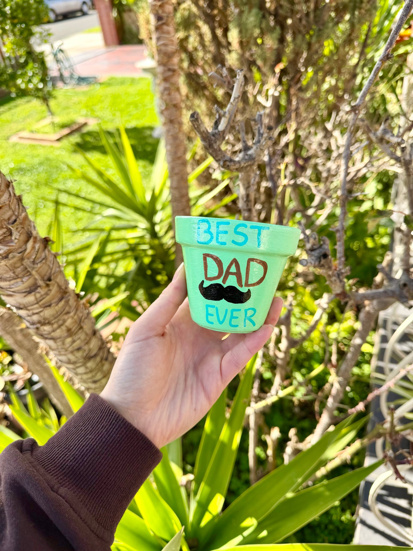 Best Dad Ever Pot