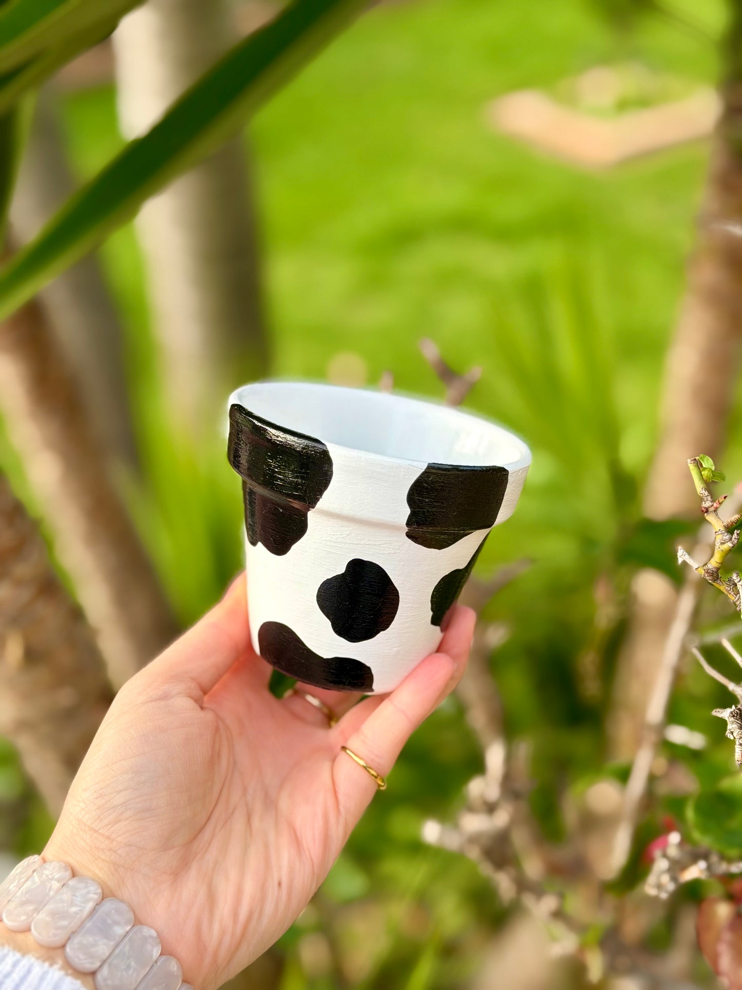 Midnight Moo Pot