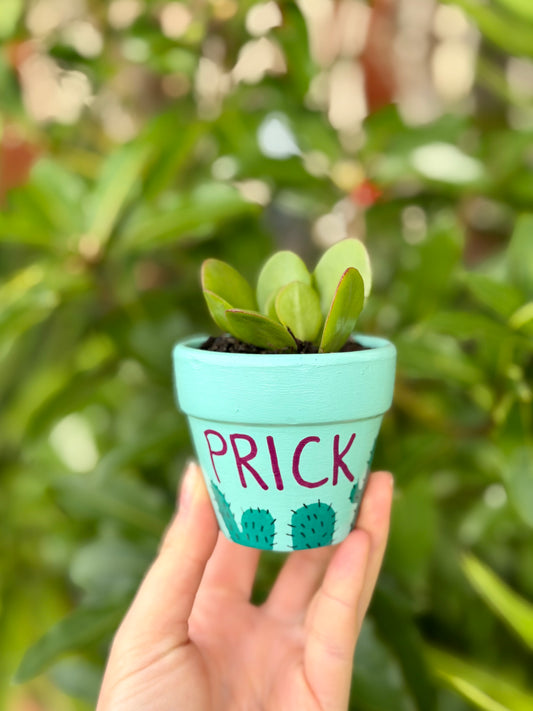 You’re a Prick Pot