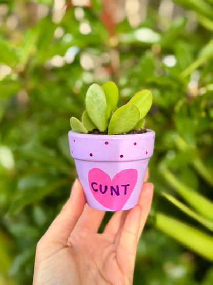 Hot Cunt Pot