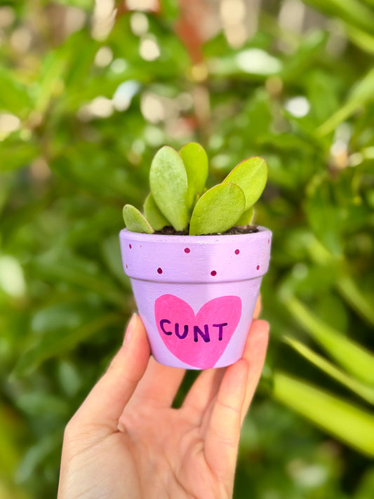 Hot Cunt Pot