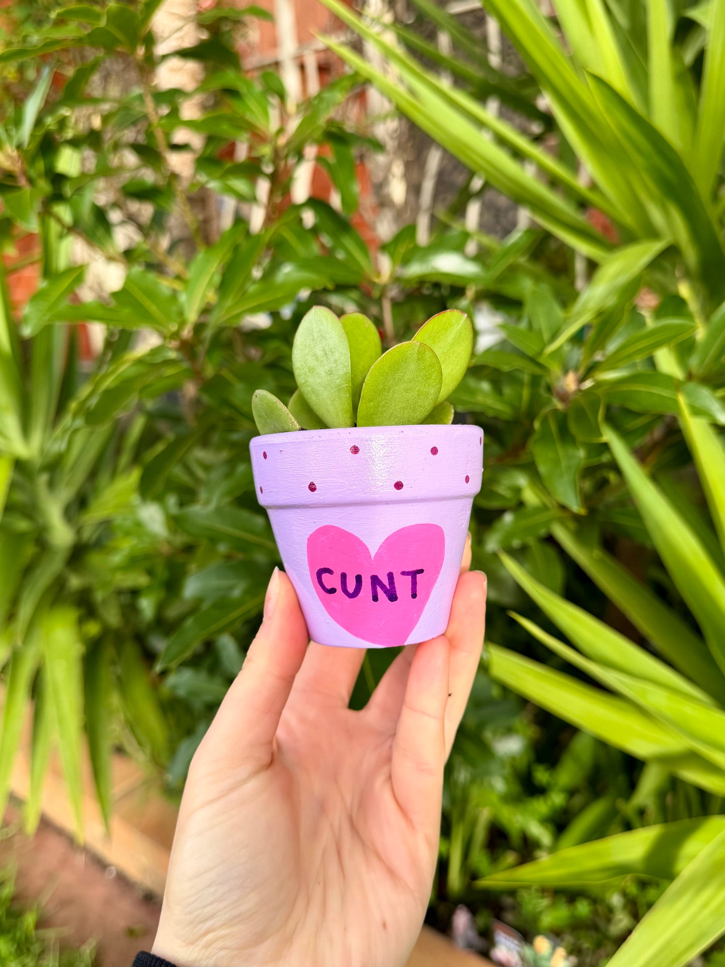 Hot Cunt Pot