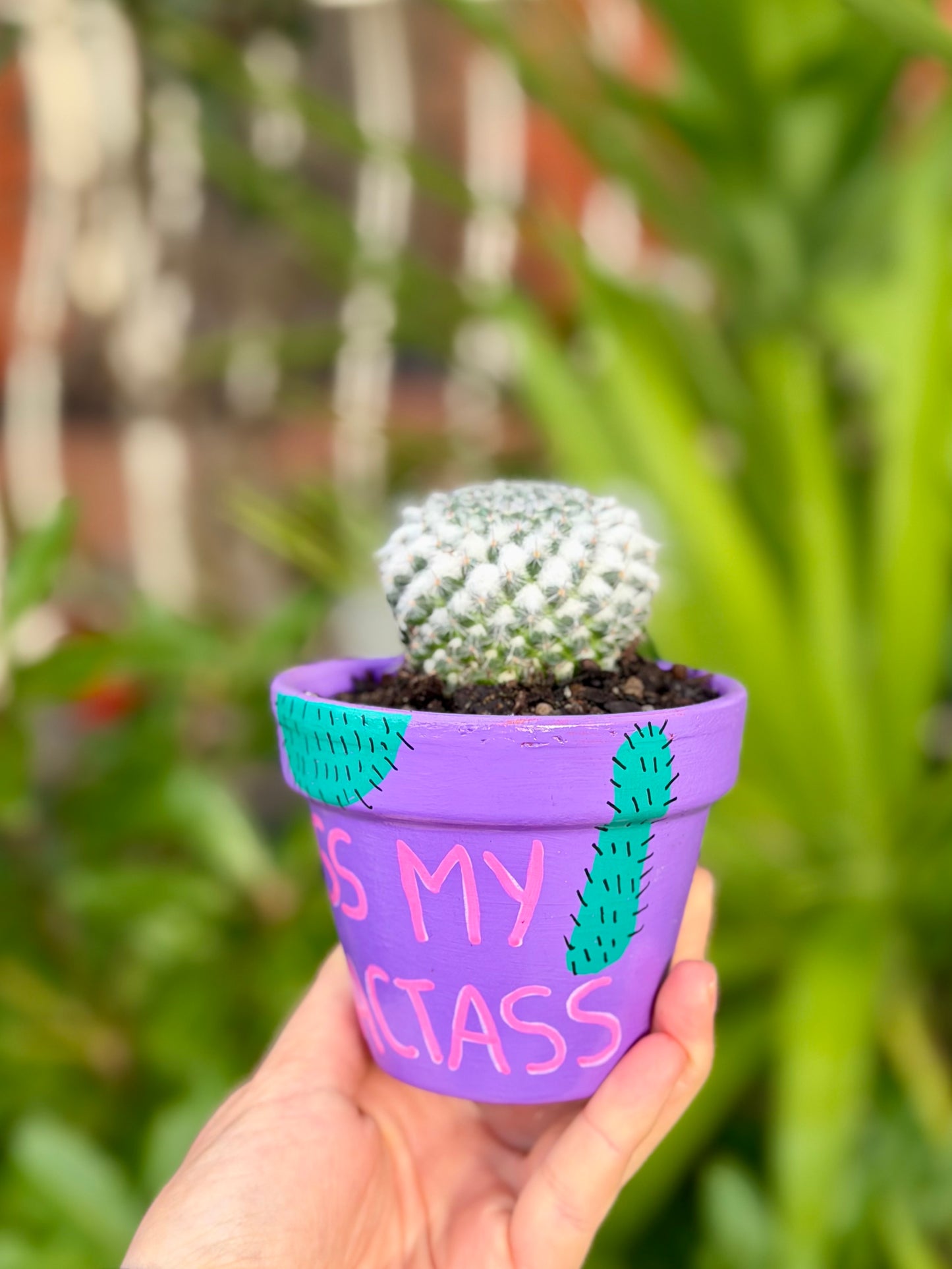 Kiss My Cactass Pot